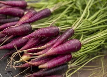 Màu cam cà rốt xuất phát từ vị anh hùng