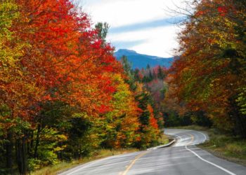 Những cánh rừng rực rỡ miền Núi Trắng nước Mỹ - 1