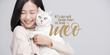 10 câu nói hoàn hảo về loài mèo