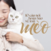 10 câu nói hoàn hảo về loài mèo
