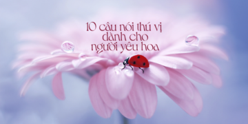 10 câu nói thú vị dành cho người yêu hoa