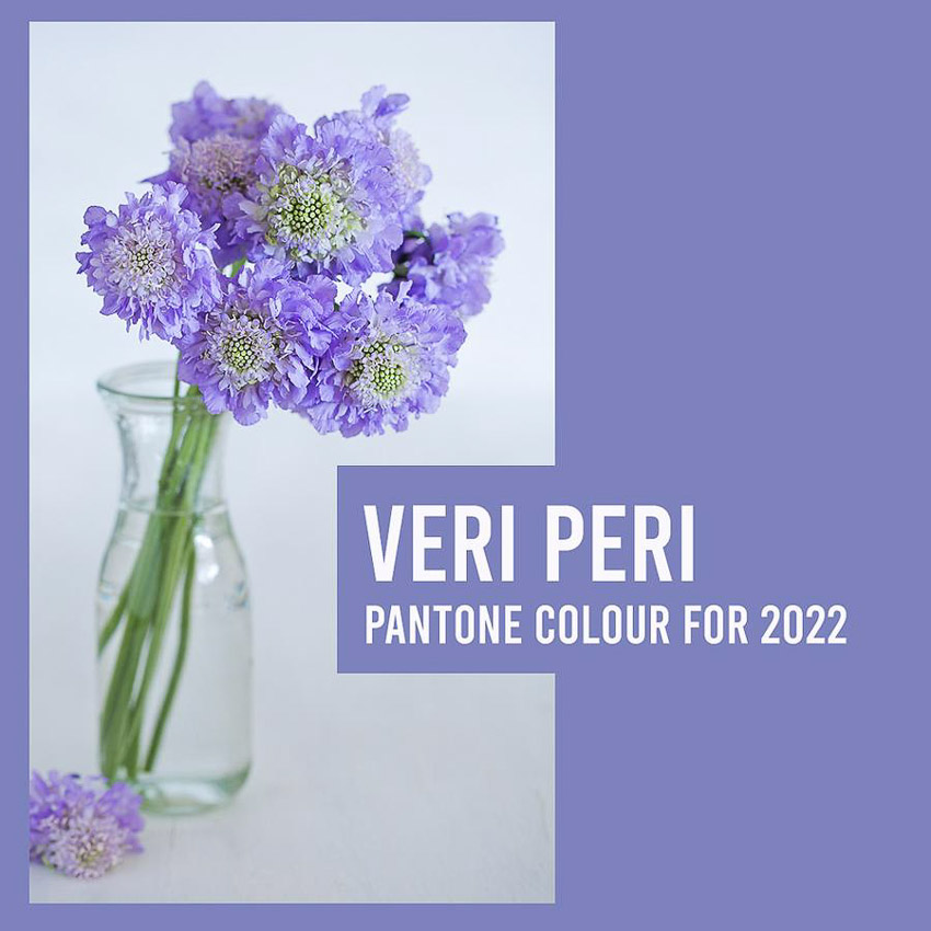 Pantone 2022 'Very Peri': Màu sắc của tương lai và hy vọng 2