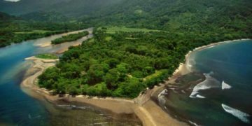 Ghé Masoala: Báu vật rừng mưa giữa biển Đông Phi - 1