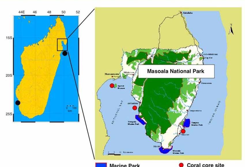 Ghé Masoala: Báu vật rừng mưa giữa biển Đông Phi - 2