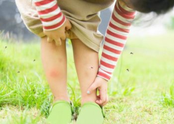 Muỗi lựa chọn 'nạn nhân' như thế nào?