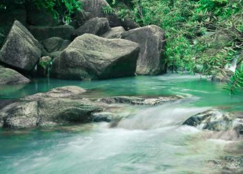 Suy ngẫm: Sự cảm kích từ đáy lòng