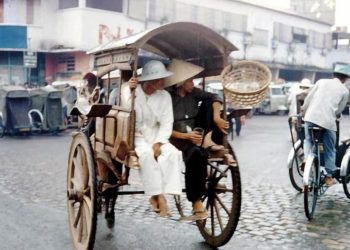 Vườn tuổi thơ - 2