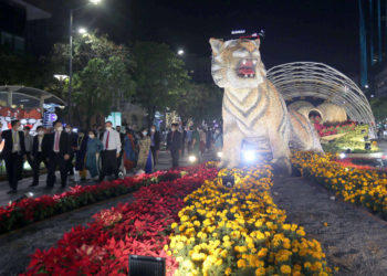 Chùm ảnh khai mạc đường hoa Nguyễn Huệ Xuân Nhâm Dần 2020