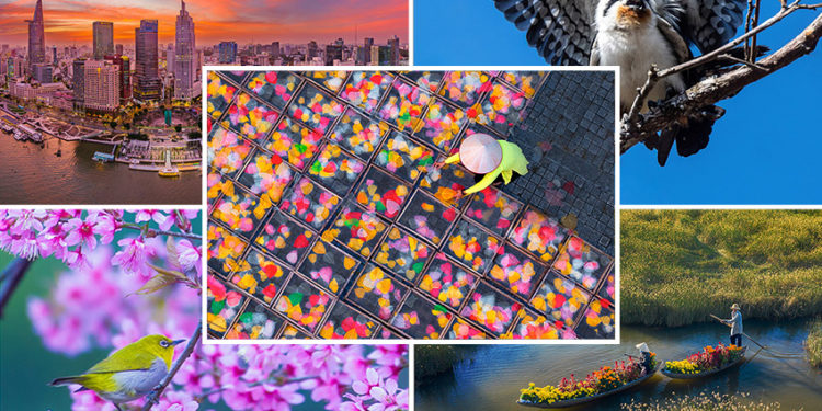 Kết quả Cuộc thi ảnh nghệ thuật “Mùa xuân Nhâm Dần 2022”