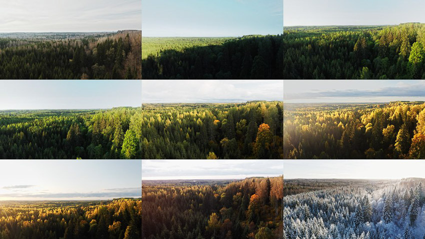 'Landscapes of Change' tuyệt đẹp sự thay đổi của các mùa từ góc nhìn từ trên không 1