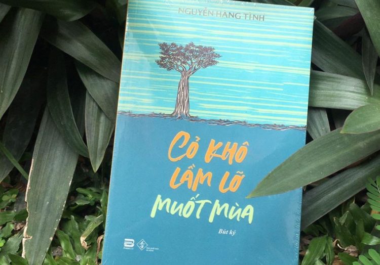 Tây Nguyên và vẻ đẹp phiêu bồng, bát ngát qua bút ký mới của Nguyễn Hàng Tình