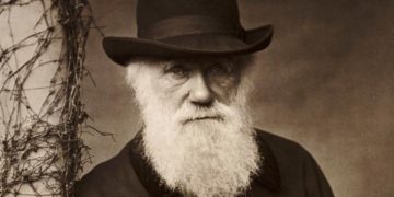 Tiếc nuối lớn nhất của Darwin và Suy ngẫm của ông vào cuối đời về những gì khiến cho cuộc đời trở nên đáng sống - 4