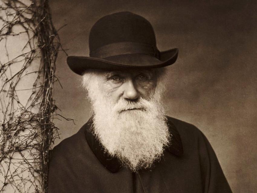 Tiếc nuối lớn nhất của Darwin và Suy ngẫm của ông vào cuối đời về những gì khiến cho cuộc đời trở nên đáng sống - 4