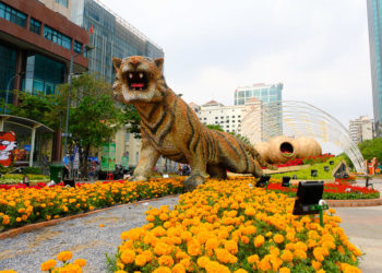 Ngày Tết nói chuyện ngôn ngữ: Từ ‘xuân’ trong ca dao