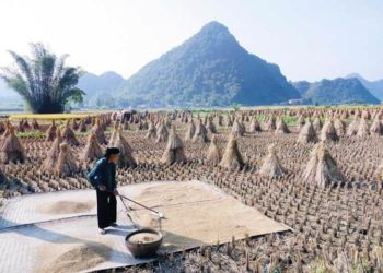 Cuộc sống tuyệt diệu - 2