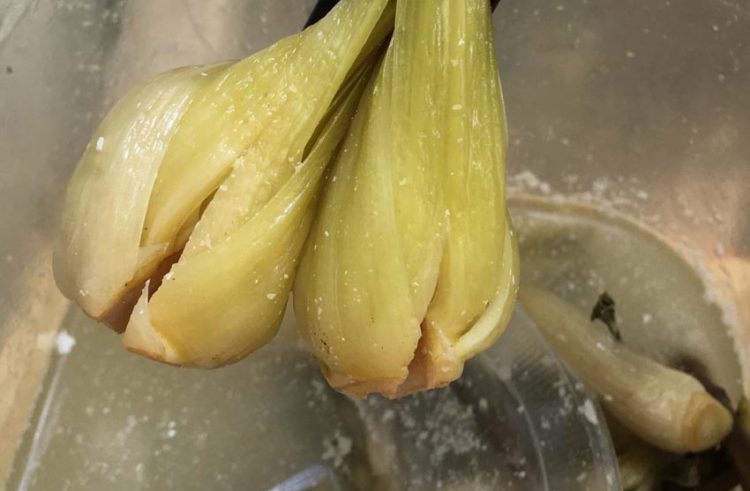 Tết sớm với dưa cải 'muỗng' - 4