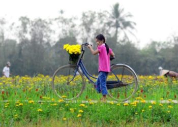 Người quê tôi và tình yêu đất - 1