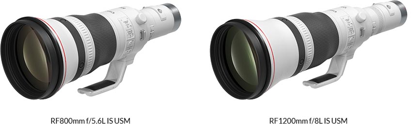 Canon mở rộng dòng sản phẩm Siêu Telephoto với ống kính RF Prime L-series mới - 4