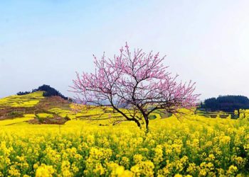 Thứ quý giá nhất trên thế gian