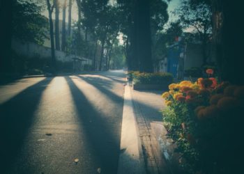 Mùi của Tết - Mùi của Tổ