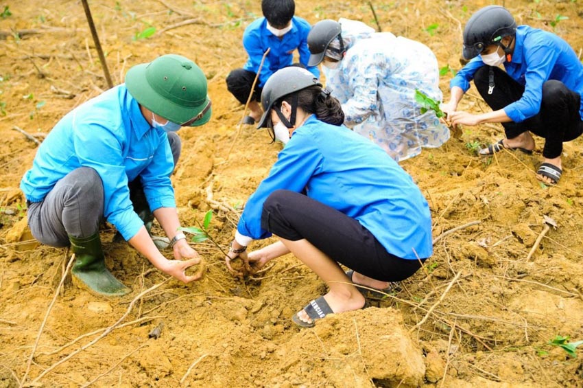 Toyota đồng hành cùng Tết trồng cây đời đời nhớ ơn Bác Hồ và Chương trình trồng 1 tỷ cây - 4