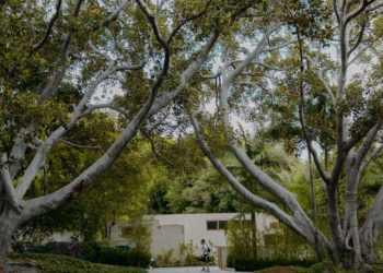 Bóng râm, biểu tượng mới cho bất bình đẳng tại Los Angeles - 2