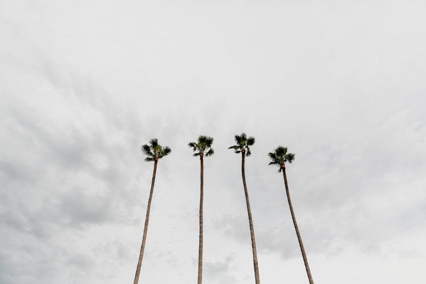 Bóng râm, biểu tượng mới cho bất bình đẳng tại Los Angeles - 6