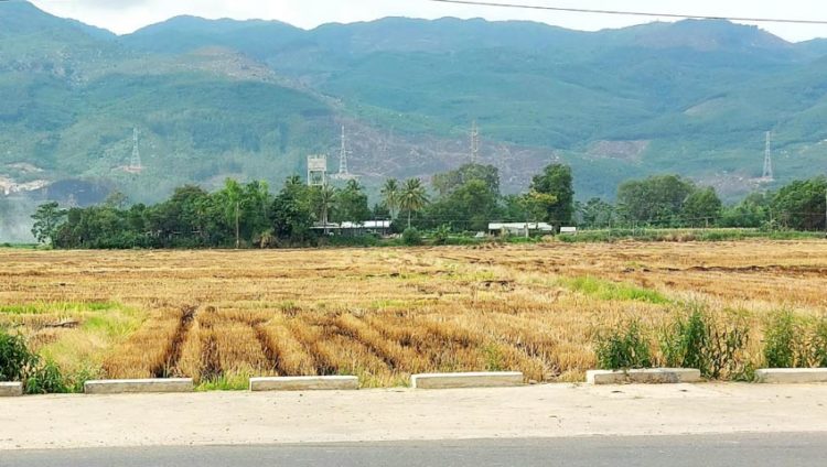 Chuyện kể về bức phù điêu Chăm - 2