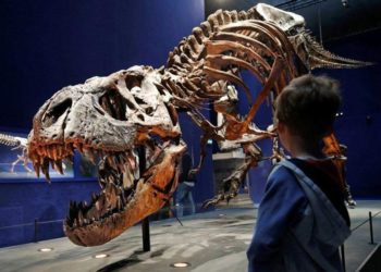 Nhân loại sẽ có cùng số phận với khủng long? - 1