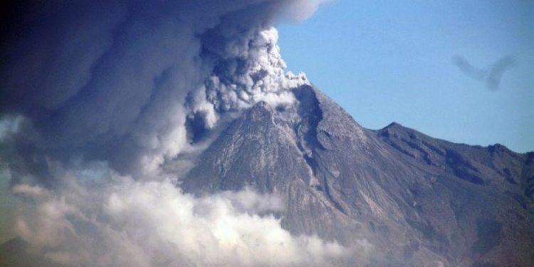 Sống chung với hung thần - 5