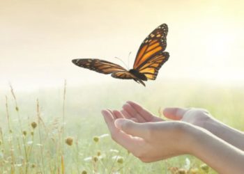 Suy ngẫm: Nặng và nhẹ