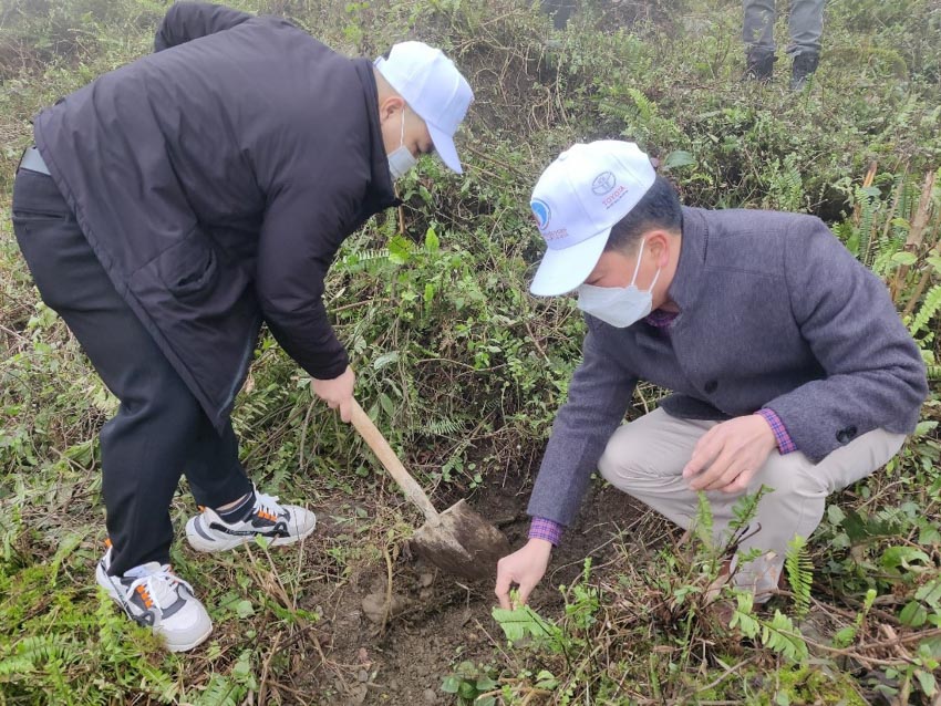 Toyota Việt Nam đồng hành cùng Chương trình 'Một tỷ cây xanh – Vì Việt Nam xanh' - 1