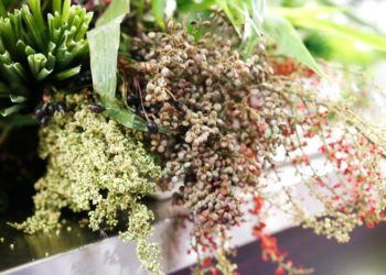 Hơn 1.000 loại gia vị sẽ góp mặt trong Lễ hội Tinh hoa gia vị Việt - 1