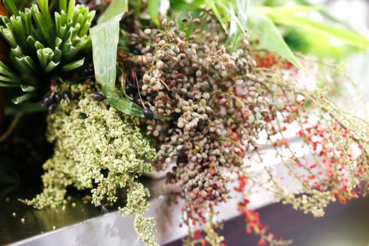 Hơn 1.000 loại gia vị sẽ góp mặt trong Lễ hội Tinh hoa gia vị Việt - 1