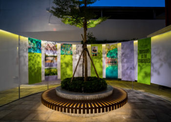 “Chuyển” 01 : Không gian triển lãm Midnight in the mangroves