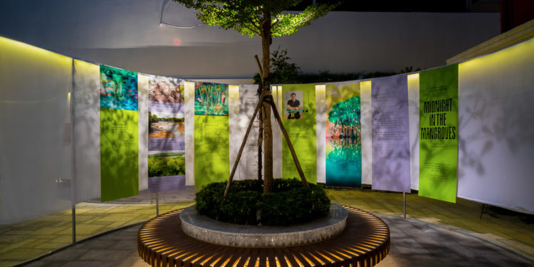 “Chuyển” 01 : Không gian triển lãm Midnight in the mangroves