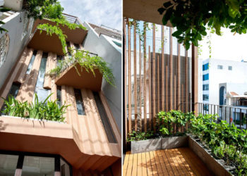 Nhà-Cây: Một ẩn dụ thi vị