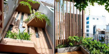 Nhà-Cây: Một ẩn dụ thi vị