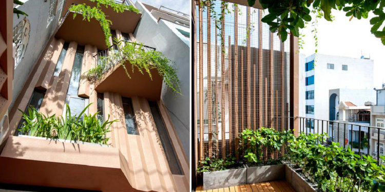 Nhà-Cây: Một ẩn dụ thi vị