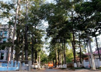 ADN xanh của 'đô thị cổ' Trà Vinh - 1