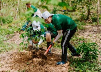 Nestlé trồng rừng