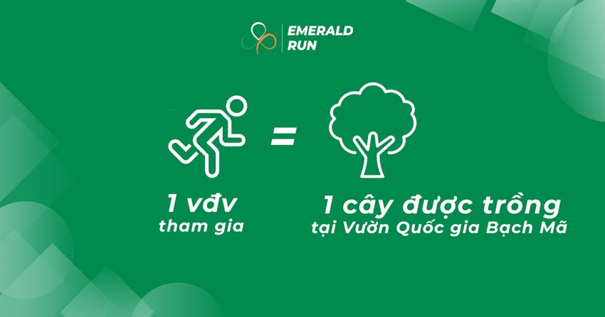 Emerald Run 2022, chạy vì những cánh rừng xanh - 2