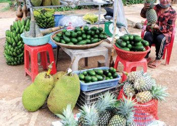 Ai mua thơ ngây… - 2