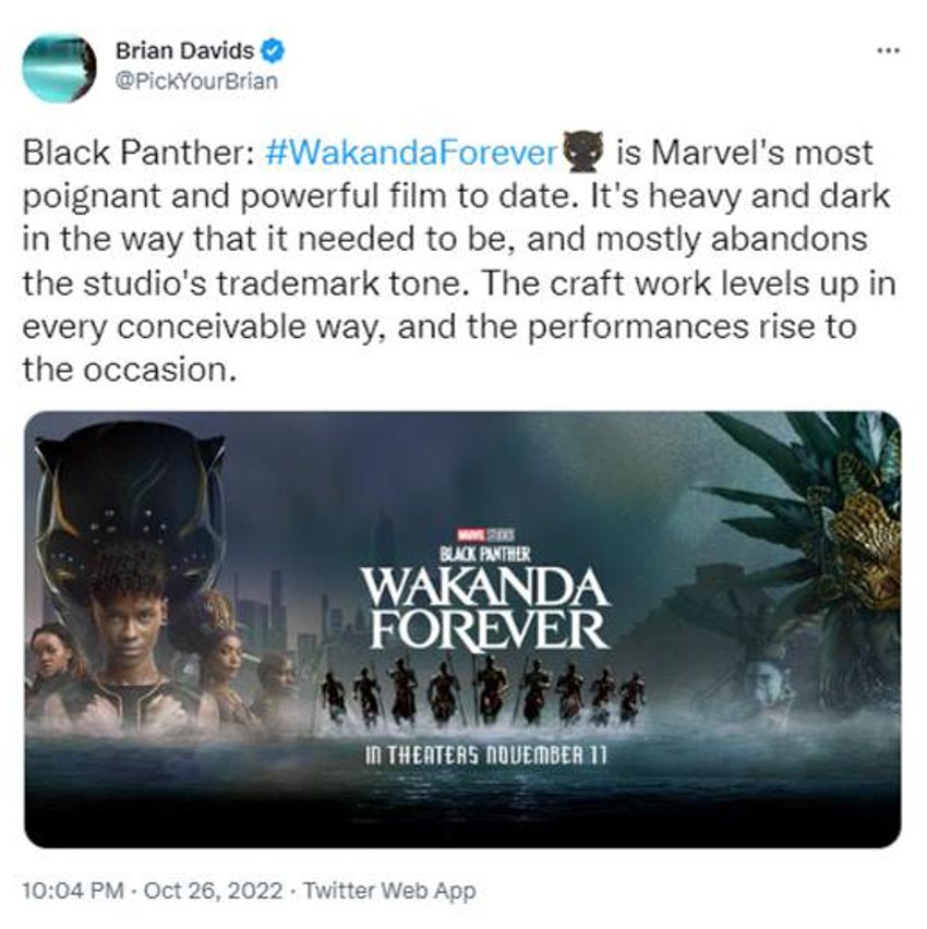 Black Panther: Wakanda Forever nhận 'cơn mưa' lời khen từ giới phê bình - 15