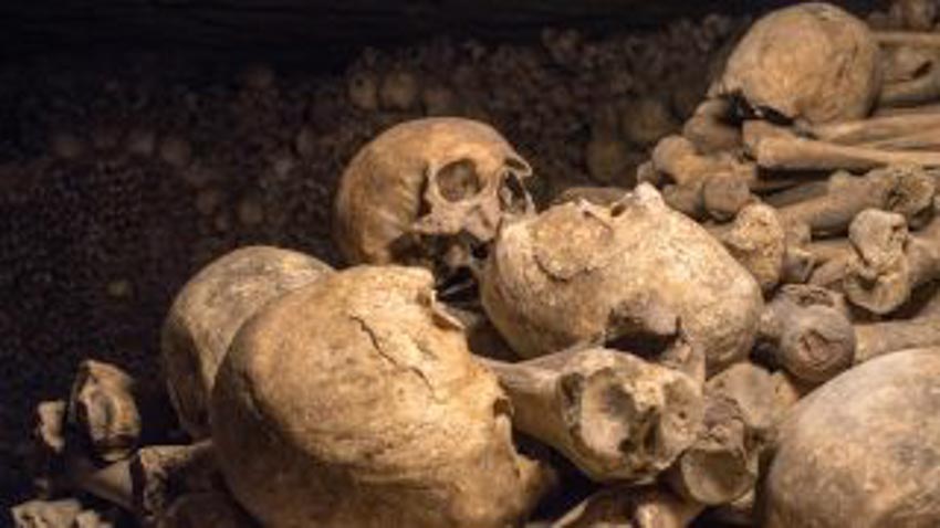 Hộp sọ và xác người được bán ở chợ đen trên Facebook - 1