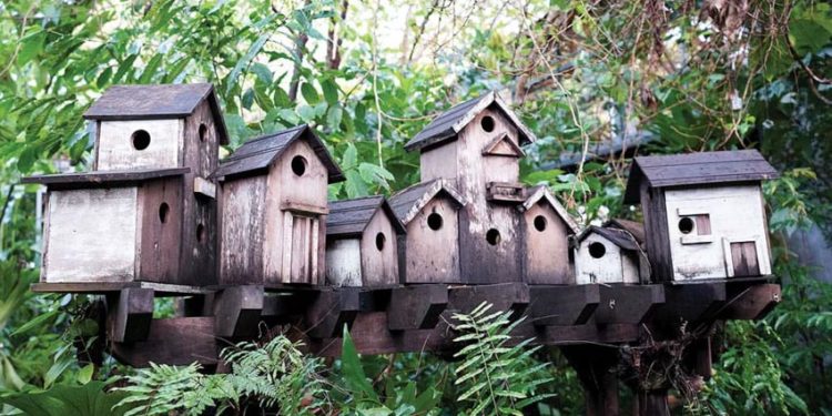 Bốn mùa đều xuân trong khu vườn của Hậu - 3