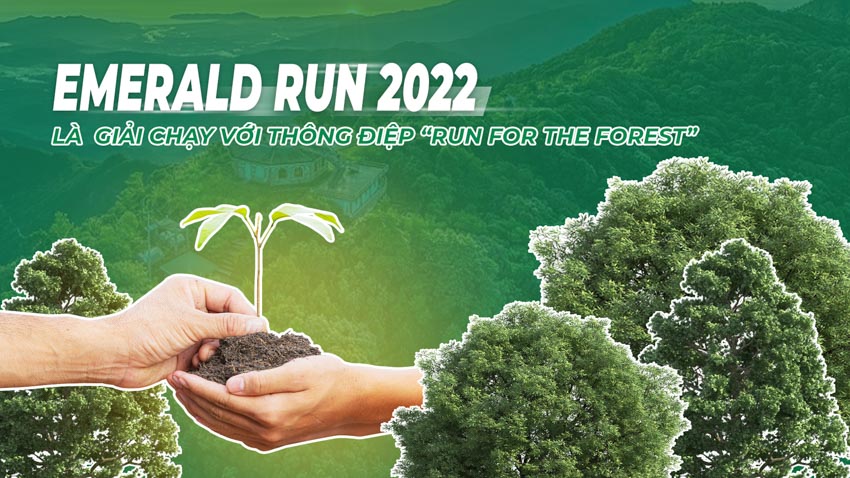 Emerald Run 2022 quyên góp hơn 1300 cây cho rừng Bạch Mã - 1