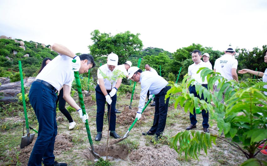 Panasonic khởi động chương trình trồng rừng 'Sống khỏe góp xanh' - 1