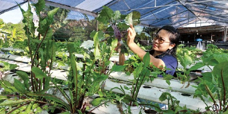 Bắt đầu từ rễ… - 3