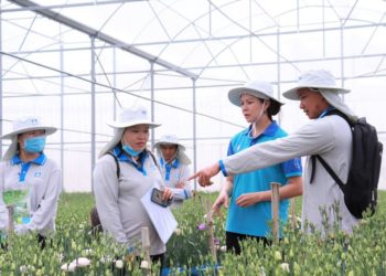 Yara Việt Nam chuyển đổi toàn diện để phát triển bền vững nông nghiệp Việt - 1